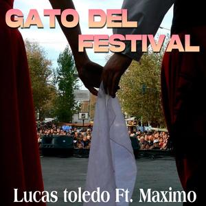 Gato del Festival
