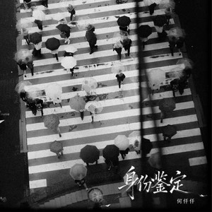 身份鉴定