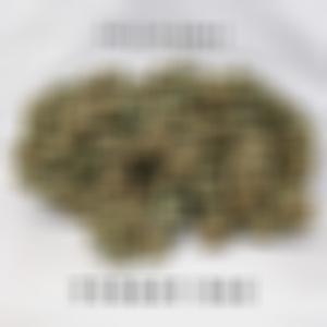 Turkey Bag (Explicit)