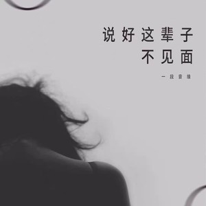 说好这辈子不见面