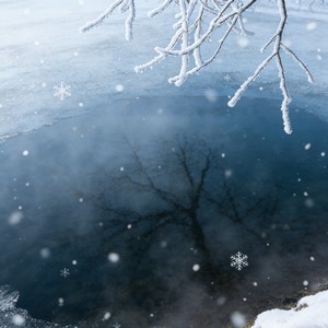 你怎么狠心在冬天丢下我