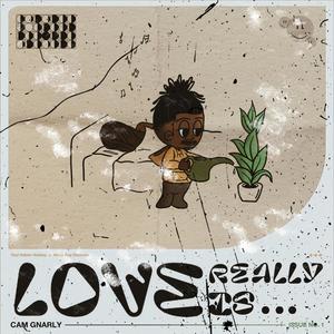 Love Really Is (Explicit)