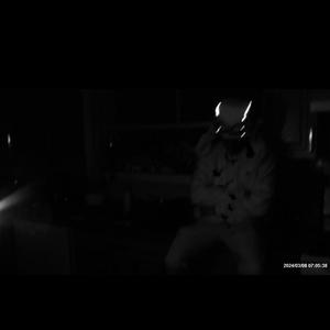 Maybe I'll Forget (VAult) (Explicit)