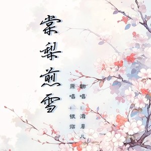 棠梨煎雪（cover:银临）