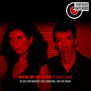 Do You Ever Wonder? (This Sound Will Save You Remix)