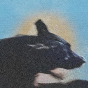 dans le coeur (Explicit)