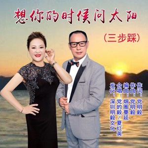 想你的时候问太阳
