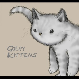 Gray Kittens