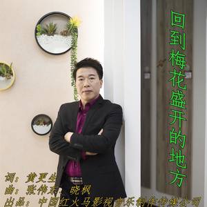 回到梅花盛开的地方
