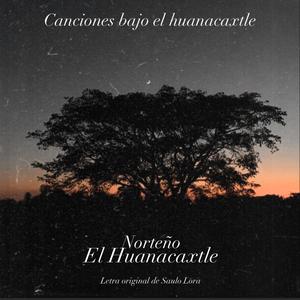 Canciones Bajo (feat. Saulo Lora)