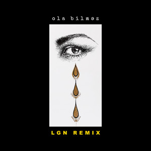 Ola Bilməz (LGN Remix)