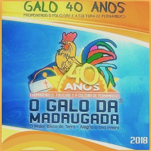 Galo Eu Te Amo