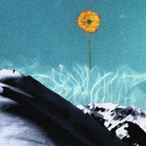 Smoke Flower