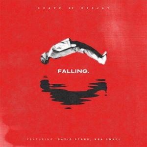 Falling/0609 (feat. BRA SMALL) [David Starr Remix]