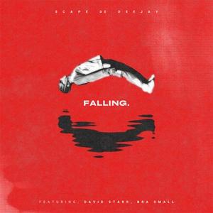 Falling/0609 (feat. BRA SMALL) (David Starr Remix)