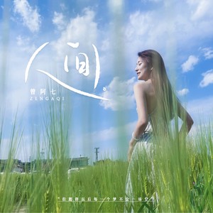 人间 (DJ京仔版)