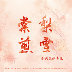 棠梨煎雪 (小提琴演奏版)