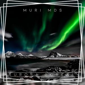 Under the Radar (feat. Pagu Kun, Zero & Dreamlife Beats) (Explicit)