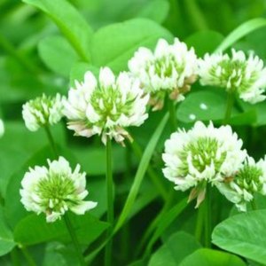 人生路上风雨多