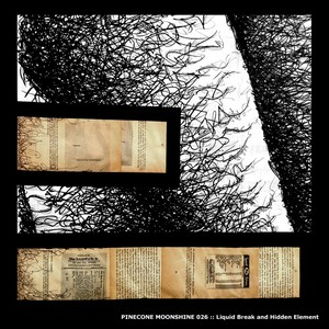 Not For Mortal (Original Mix)