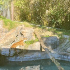 sun goes down (feat. Kimba Kaleidoscope) (Explicit)