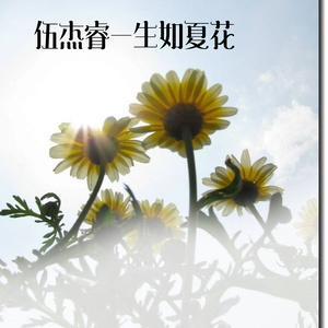 找朋友 (伴奏)