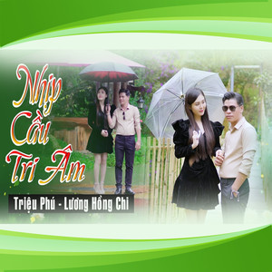 Nhịp Cầu Tri Âm