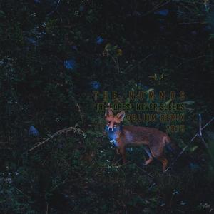 The Forest Never Sleeps (The Nommos|Remix)