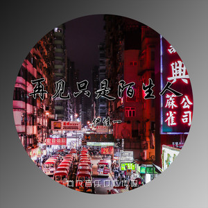 再见只是陌生人 (伴奏)