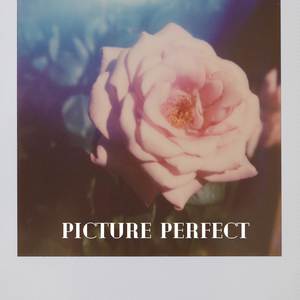 Picture Perfect
