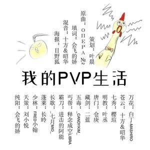 我的PVP生活