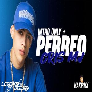 INTRO ONLY + PERREO CRIS MJ (feat. LESCANO DEEJAY)