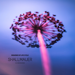 Shallmauer