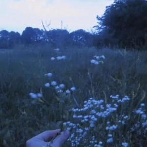 avísame. (Explicit)