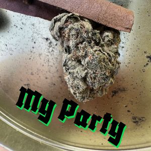 My Party