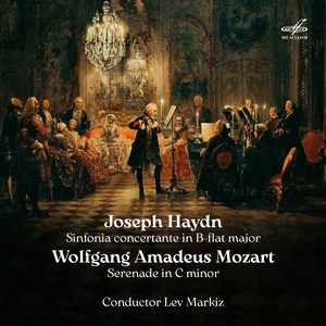 Serenade in C Minor, K. 388/384a - II. Andante