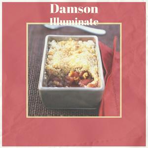 Damson Illuminate