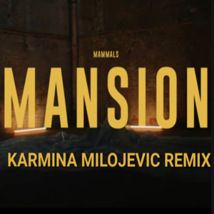 Mansion (Remix)