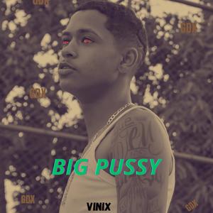 VINIX - BIG ***** (Special Version) [Explicit]