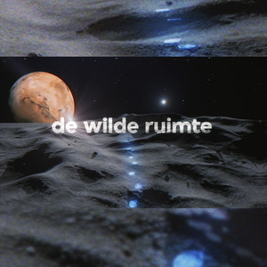 De Wilde Ruimte