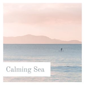 Calming Sea: Relaxing Ocean Waves, Seagulls, Paradisiac Tropical Beach with Sun, Blue Sky and Nature Sounds