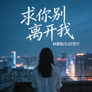 求你别离开我 (氛围DJ版)