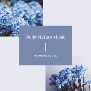 Quiet Nature Music: Peaceful Songs for a Perfect Healing Place to Stay In