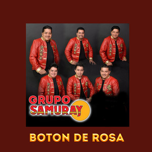 BOTON DE ROSA