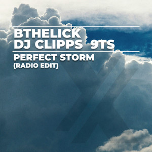 Perfect Storm (Radio Edit)