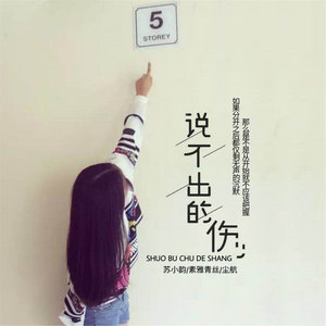 说不出的伤