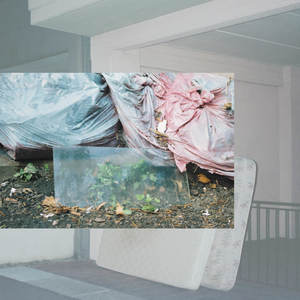 Which Direction They Went