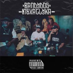 VAIVEN (feat. DOCER 4LM) (Explicit)