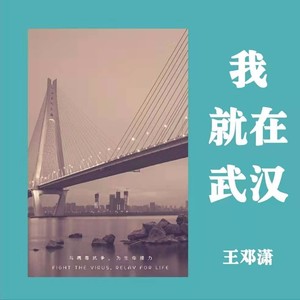 我就在武汉 (Demo)