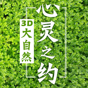 晚风的味道封面